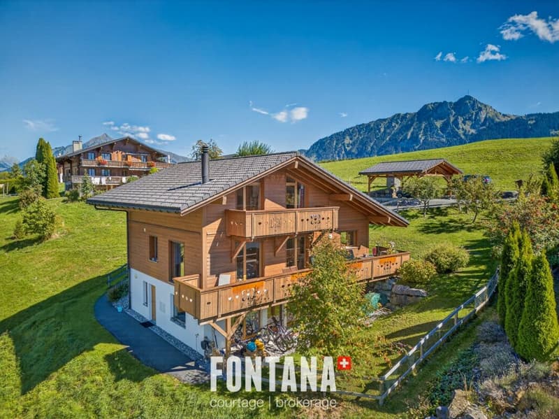 Chalet Volodalen (25)