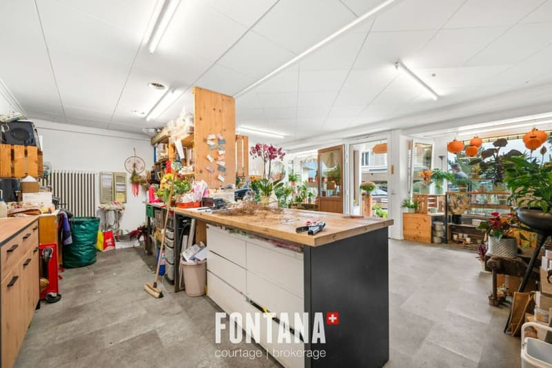 Chalet de caractère avec rendement locatif (24)