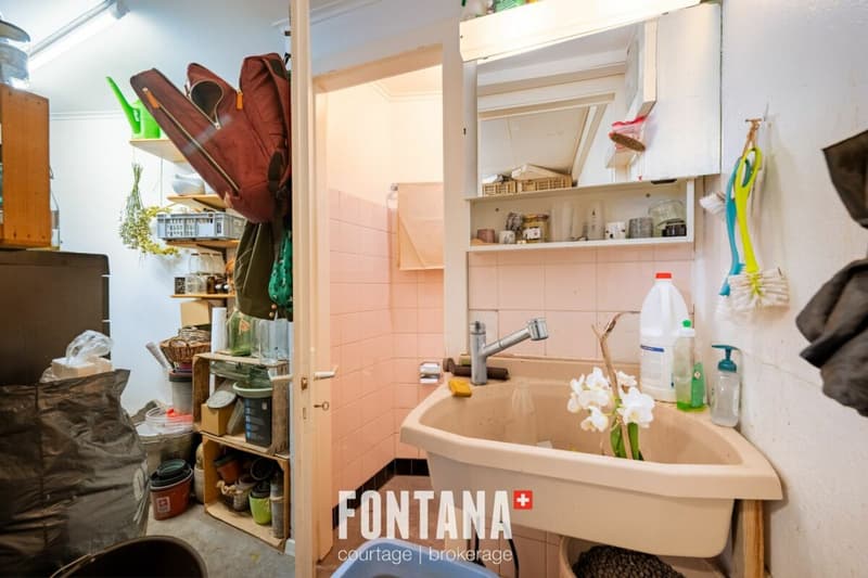 Chalet de caractère avec rendement locatif (25)