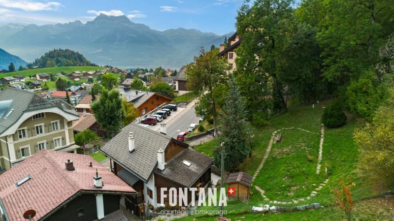 Chalet de caractère avec rendement locatif (30)