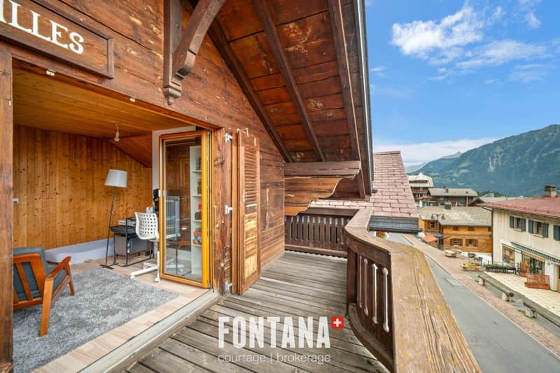 Chalet de caractère avec rendement locatif (22)