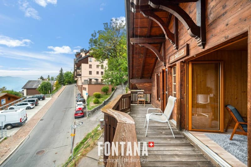 Chalet de caractère avec rendement locatif (21)