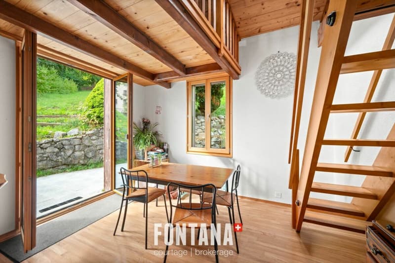 Chalet de caractère avec rendement locatif (6)