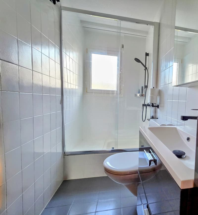 Bathroom with glass shower enclosure, toilet, sink, towel rack, and mirror.