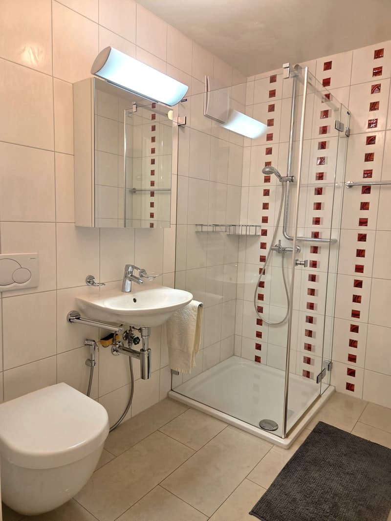 Bathroom with toilet, sink, shower, floor heating, mirror, towel rack