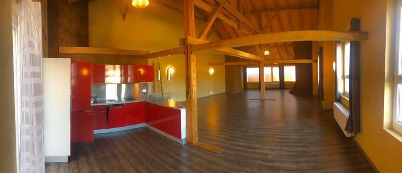 A louer super appartement LOFT de 134m2 (1)
