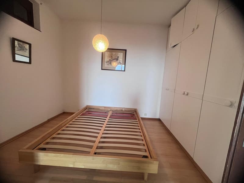 Appartement lumineux avec balcon vue lac à Saint-Gingolph (2)