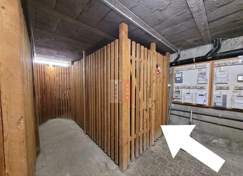 BRANSON : Appartement avec cachet à louer (11)