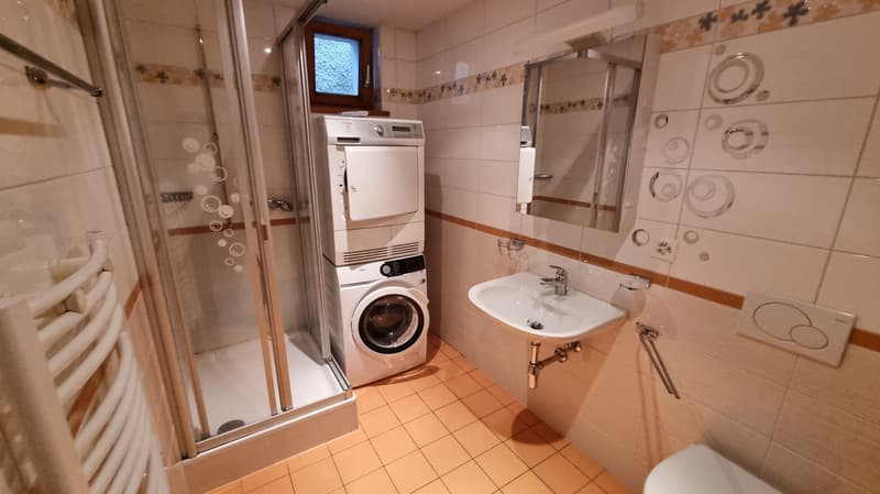 A modern bathroom with a shower, washing machine, sink, and toilet