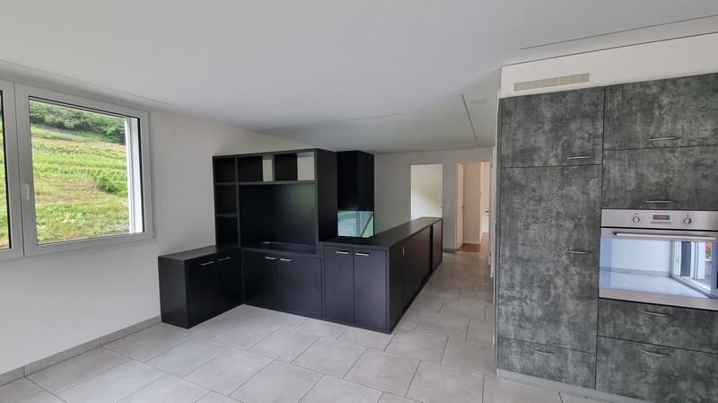 Appartement lumineux de 3.5 pièces à louer (3)