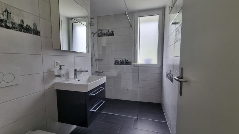 Appartement lumineux de 3.5 pièces à louer (6)