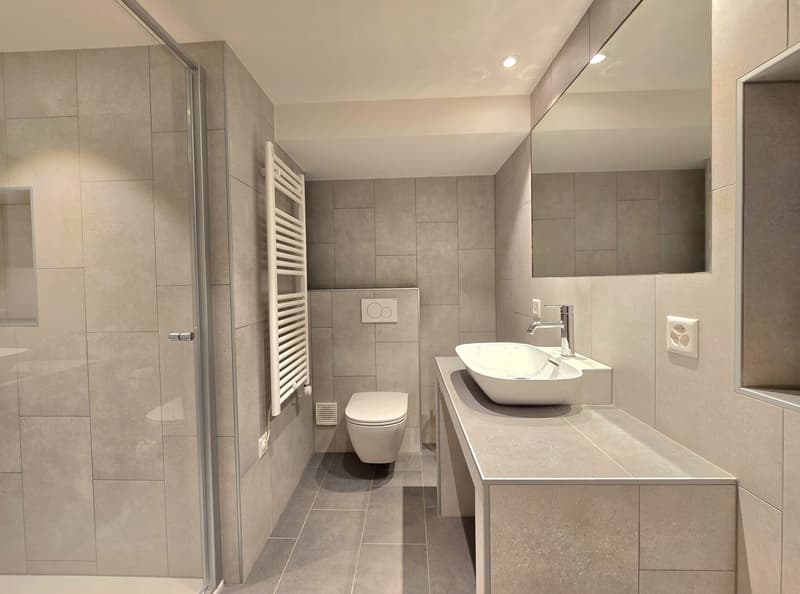 Réservé: Charmant appartement de 2,5 pièces entièrement rénové à St-Martin (Val d'Hérens) (9)