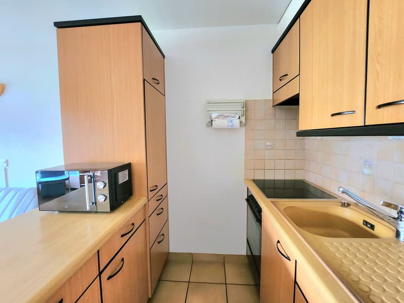 Charmant appartement 2.5 p avec magnifique vue à St-Martin (Val d’Hérens) (10)
