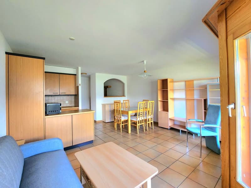 Charmant appartement 2.5 p avec magnifique vue à St-Martin (Val d’Hérens) (3)