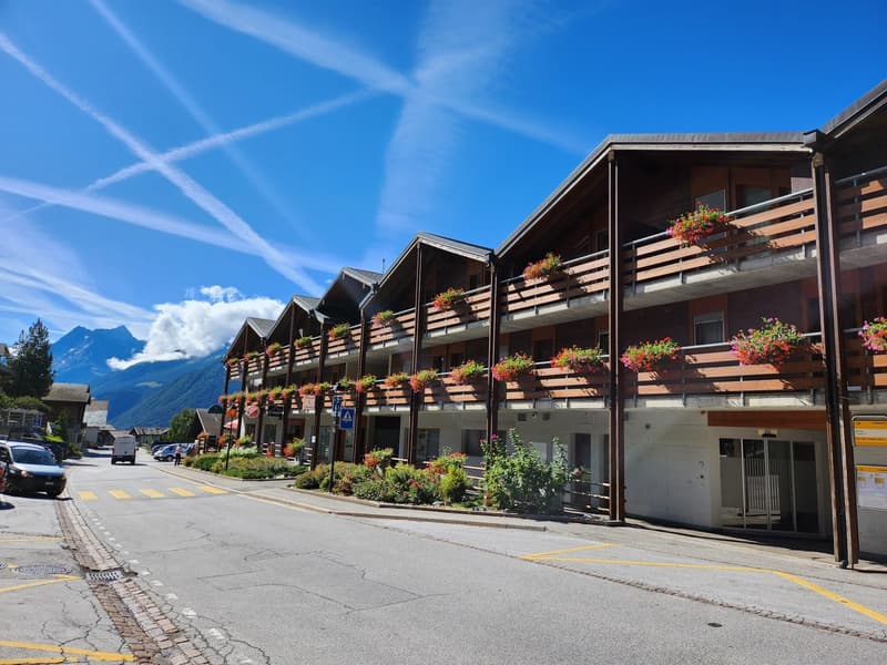 Charmant appartement 2.5 p avec magnifique vue à St-Martin (Val d’Hérens) (12)