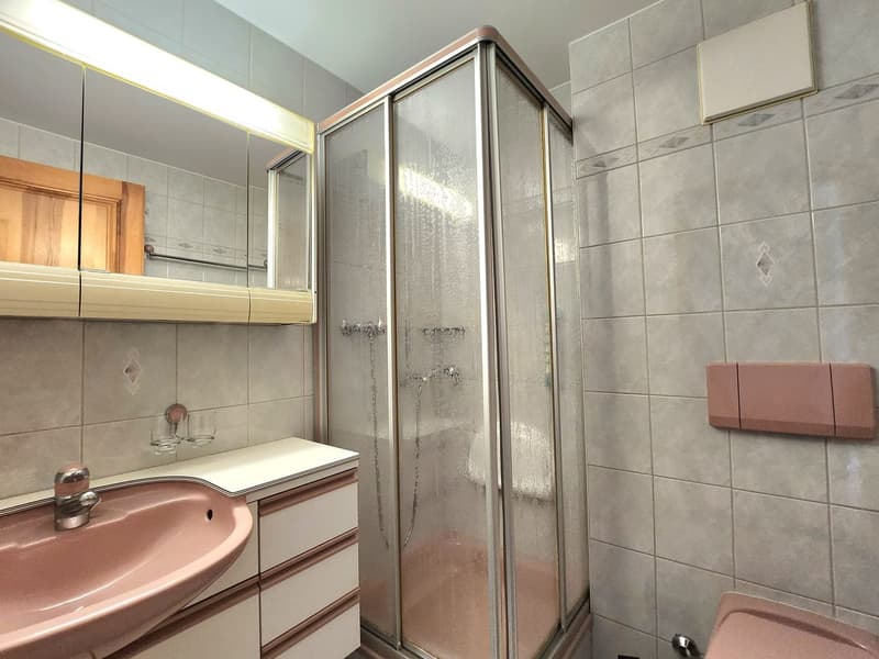 Charmant appartement 2.5 p avec magnifique vue à St-Martin (Val d’Hérens) (11)