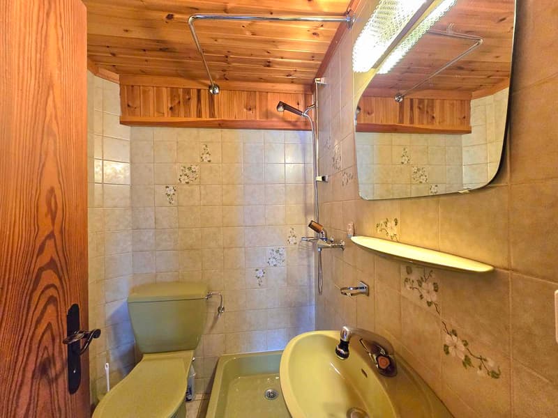 Magnifique chalet familial de 2 appartements. Annexes, extérieur, soleil et vue, Val d’Hérens (38)
