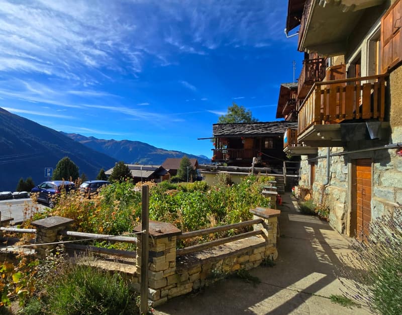 Charmant appartement à Eison (Val d’Hérens) avec vue, grand jardin et garage (15)