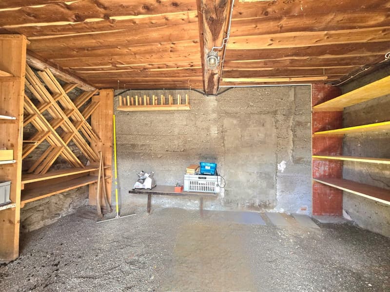 Charmant appartement à Eison (Val d’Hérens) avec vue, grand jardin et garage (20)