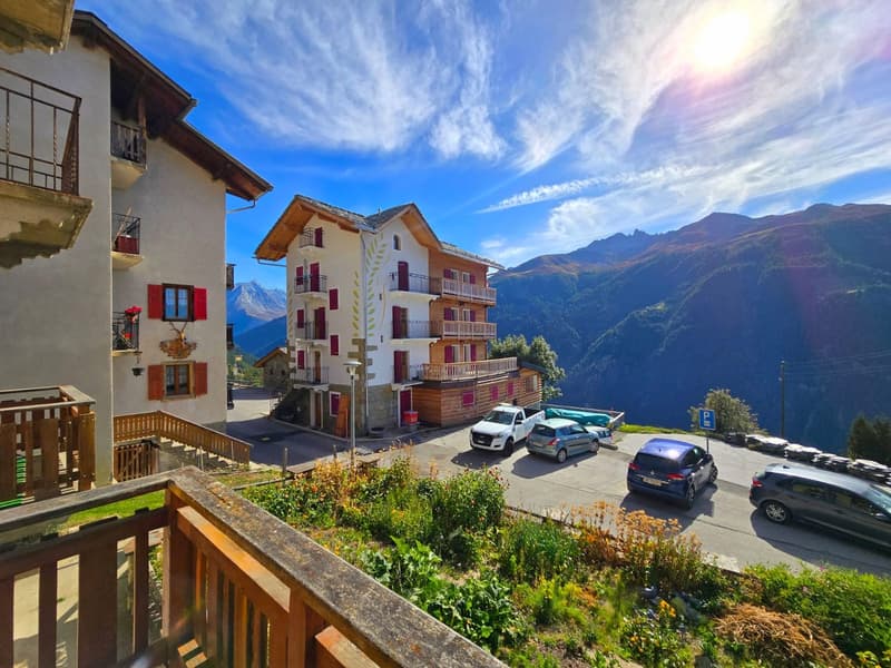 Charmant appartement à Eison (Val d’Hérens) avec vue, grand jardin et garage (16)