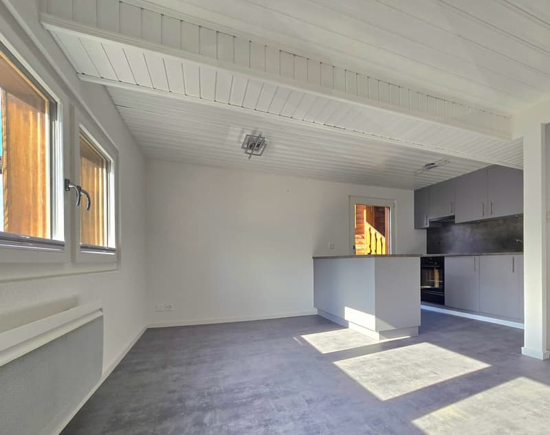 Charmant appartement 3.5 p à St-Martin (Val d’Hérens) (3)
