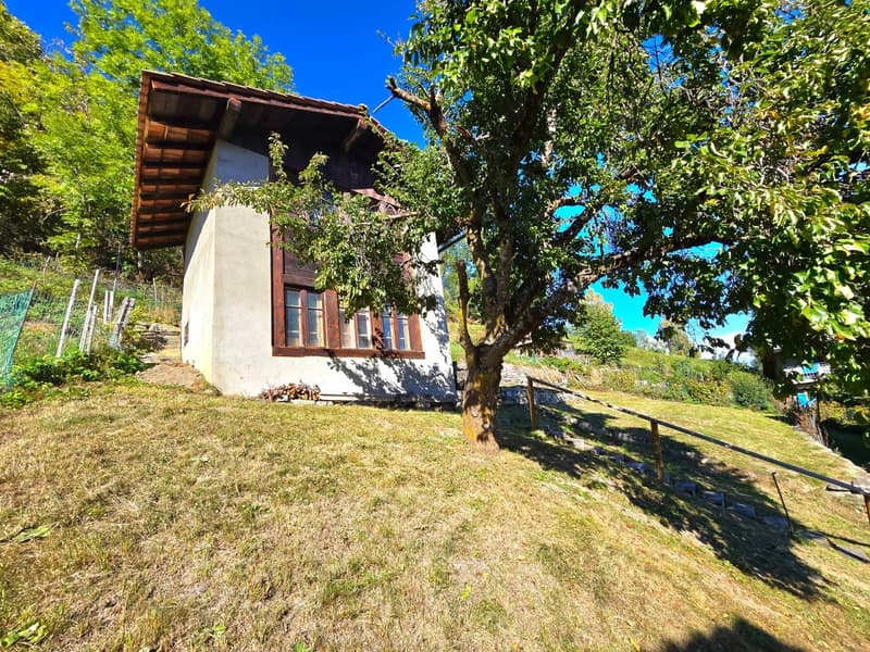 Grande maison familiale avec 2 appartements, surface commerciale, grange et extérieur à Hérémence (35)