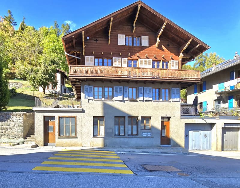 Grande maison familiale avec 2 appartements, surface commerciale, grange et extérieur à Hérémence (16)