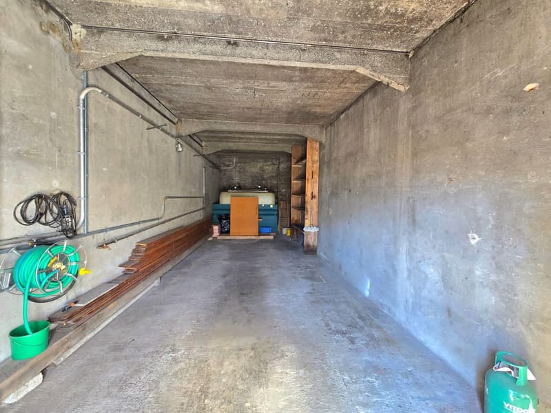 Grande maison familiale avec 2 appartements, surface commerciale, grange et extérieur à Hérémence (38)