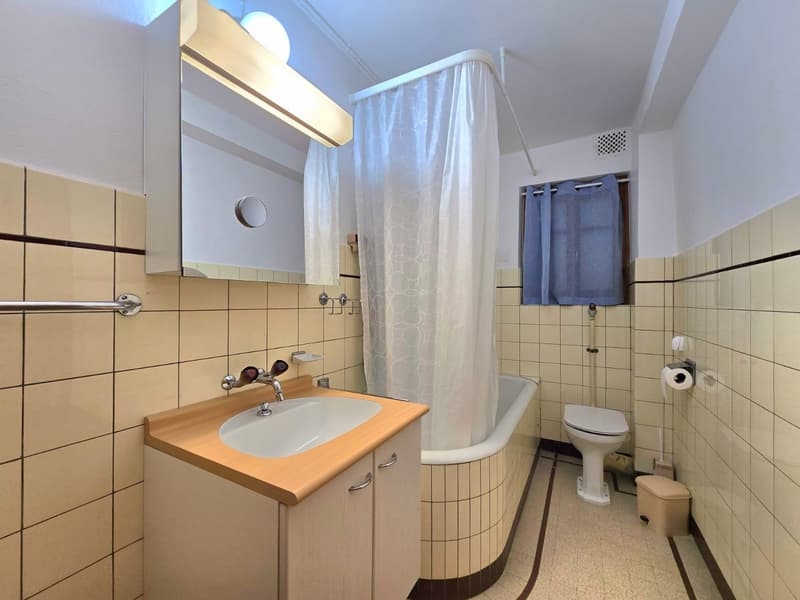 Grande maison familiale avec 2 appartements, surface commerciale, grange et extérieur à Hérémence (28)