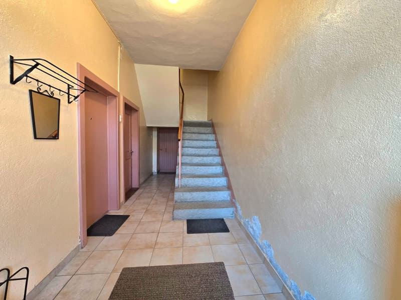 Grande maison familiale avec 2 appartements, surface commerciale, grange et extérieur à Hérémence (32)