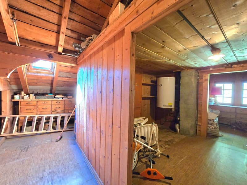 Grande maison familiale avec 2 appartements, surface commerciale, grange et extérieur à Hérémence (20)
