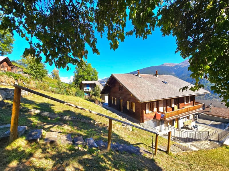 Grande maison familiale avec 2 appartements, surface commerciale, grange et extérieur à Hérémence (1)
