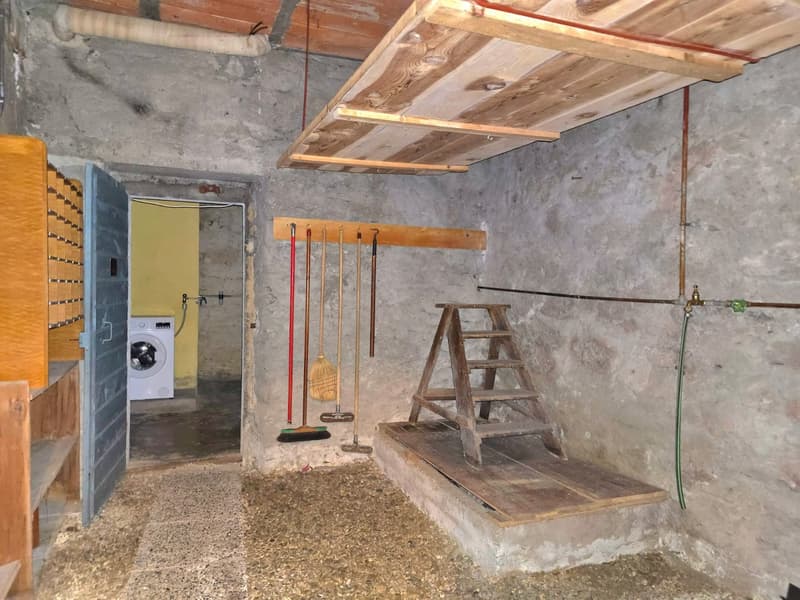 Grande maison familiale avec 2 appartements, surface commerciale, grange et extérieur à Hérémence (39)