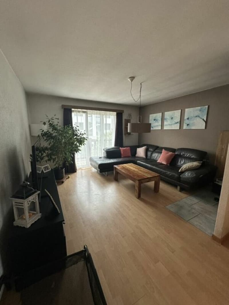 Marin-Epagnier - Villa individuelle de 2 appartements (2)
