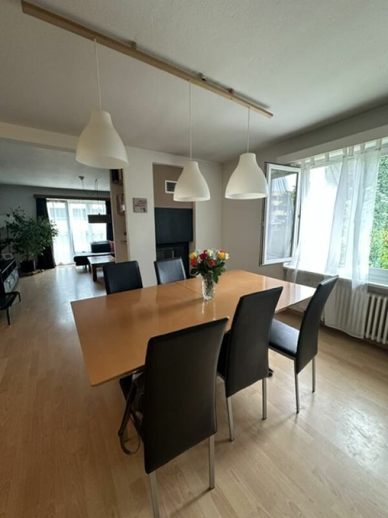 Marin-Epagnier - Villa individuelle de 2 appartements (3)