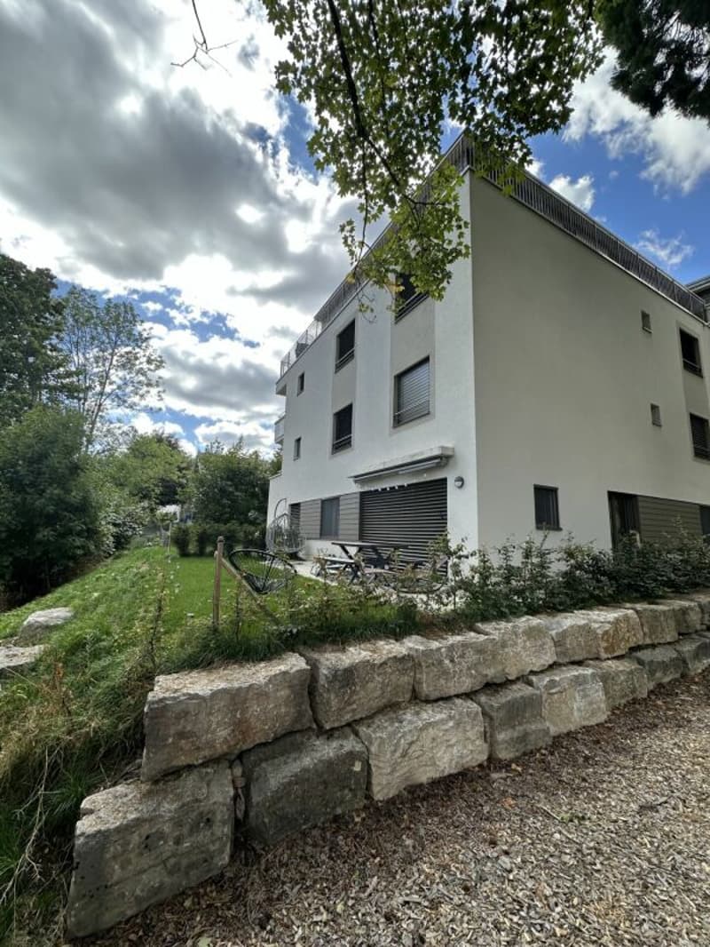 La Chaux-de-Fonds - Grand attique de 3,5 pièces (16)