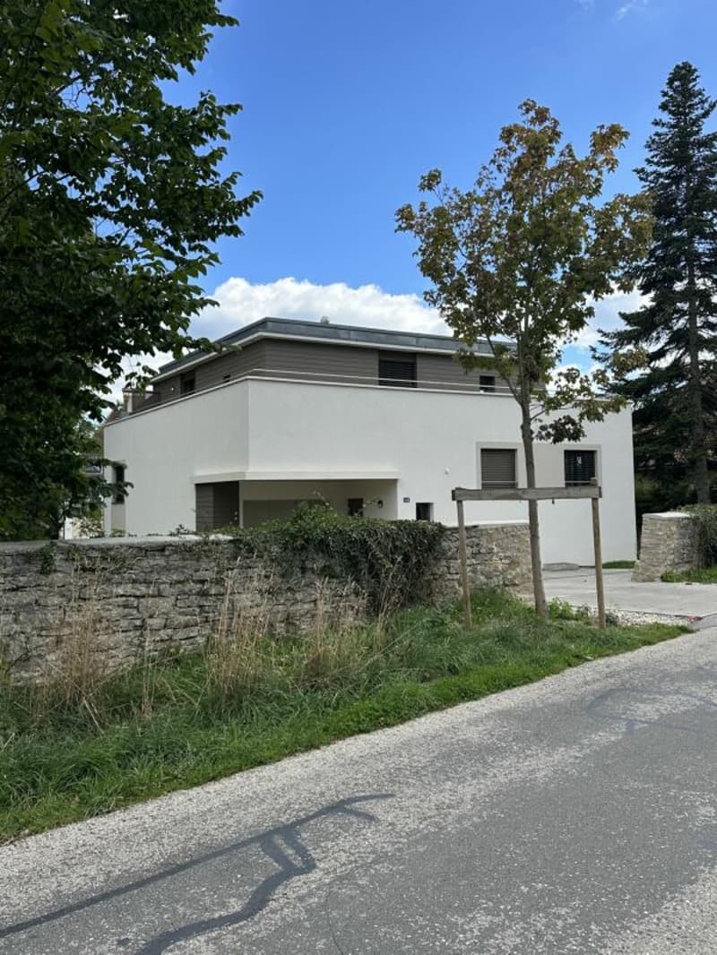 La Chaux-de-Fonds - Grand attique de 3,5 pièces (23)