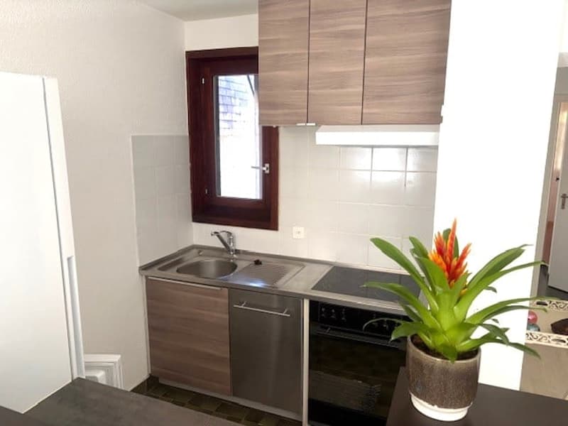 small kitchen with sink, faucet, oven, dishwasher, countertop, plant, cabinets, window