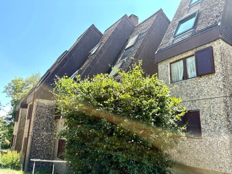 Charmant duplex de 4.5 pièces à St-Cergue – Vue, calme et nature (2)