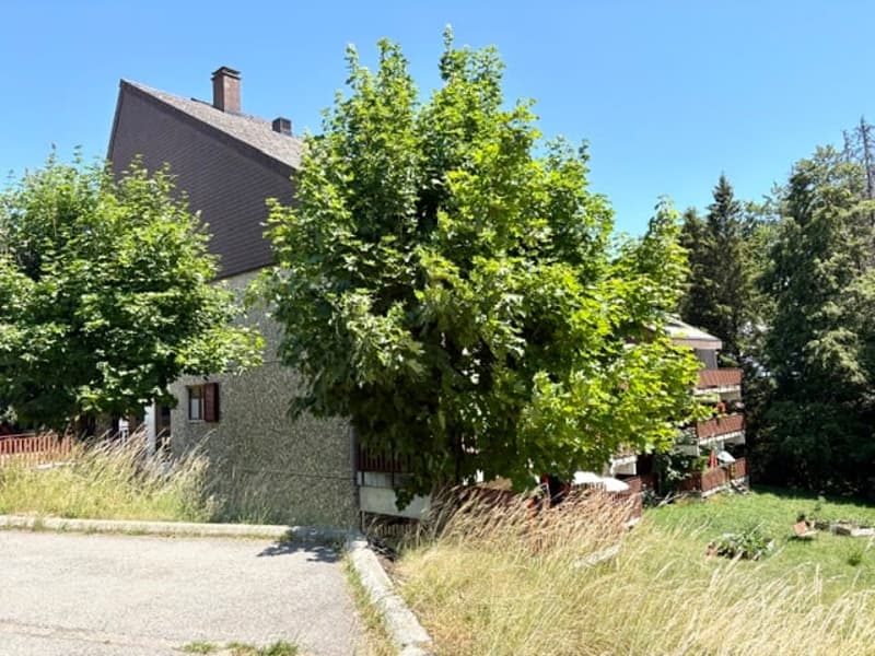 Charmant appartement de 3.5 pièces meublé à St-Cergue avec vue et balcon (2)