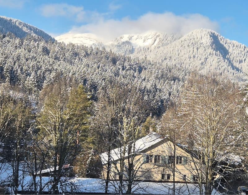 Charmant appartement de 3.5 pièces meublé à St-Cergue avec vue et balcon (10)