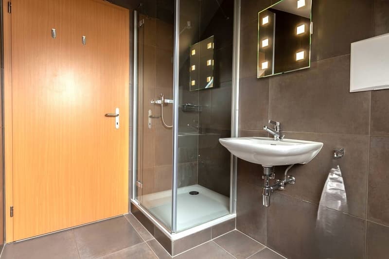 Magnifique appartement en attique de 4.5 pièces à Saint-Cergue (8)