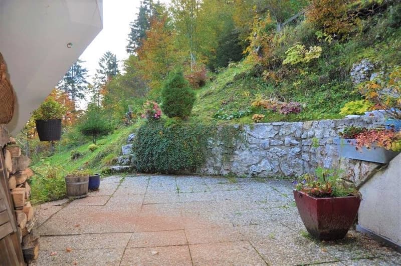 Charmant appartement de 2.5 pièces à St-Cergue (7)