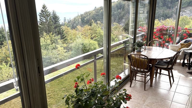 Appartement de 3.5 pièces avec vue panoramique à St-Cergue (10)