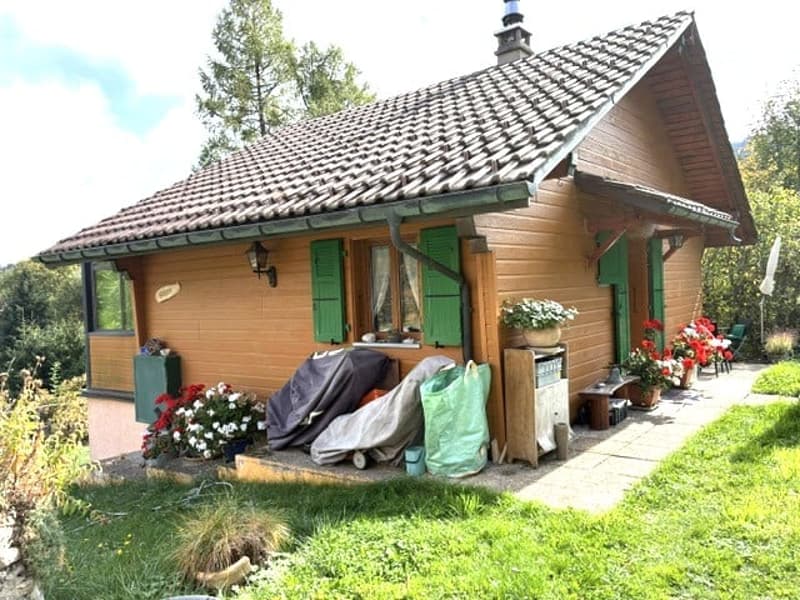 St-Cergue - chalet individuel avec vue sur les Alpes (15)