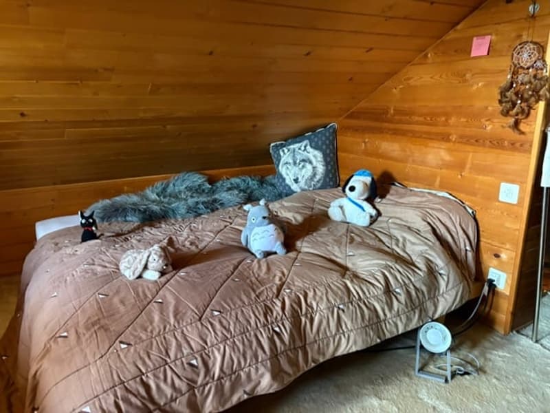 St-Cergue - chalet individuel avec vue sur les Alpes (16)