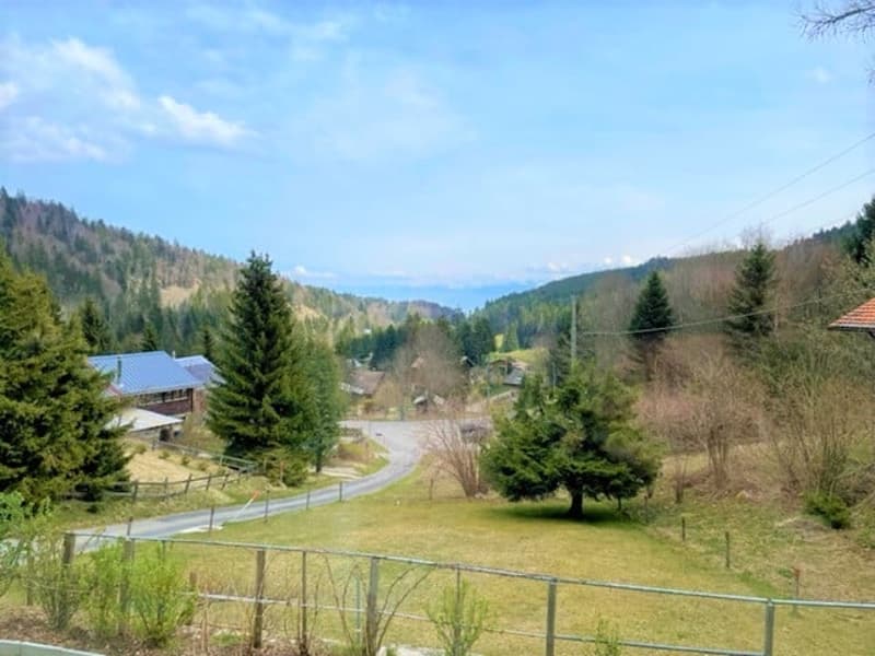 St-Cergue - chalet individuel avec vue sur les Alpes (3)
