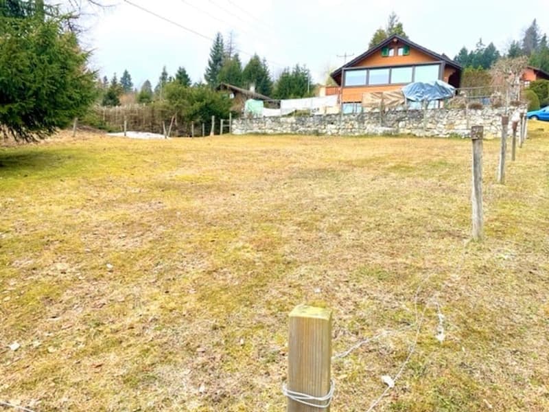 St-Cergue - chalet individuel avec vue sur les Alpes (2)