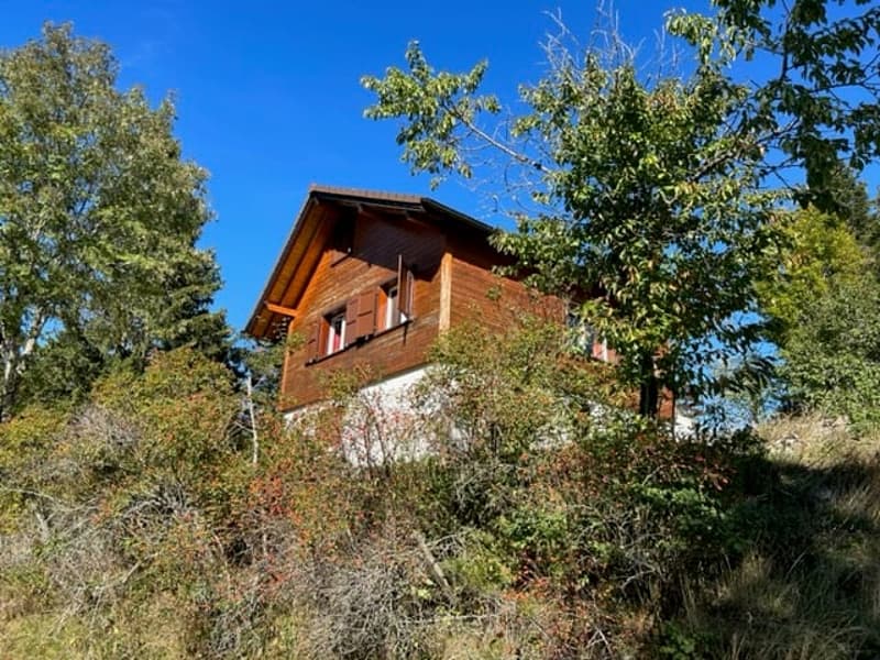 Chalet chaleureux de 3 pièces à St-Cergue avec vue et cachet montagnard (2)