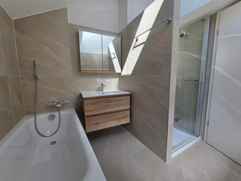 Magnifique duplex de 4.5 pièces entièrement rénové (10)